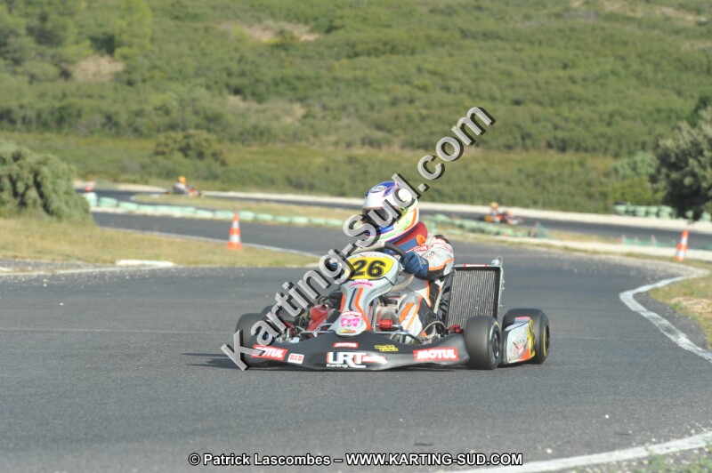 DSC (4088).JPG